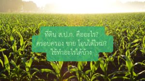 สปกคือ