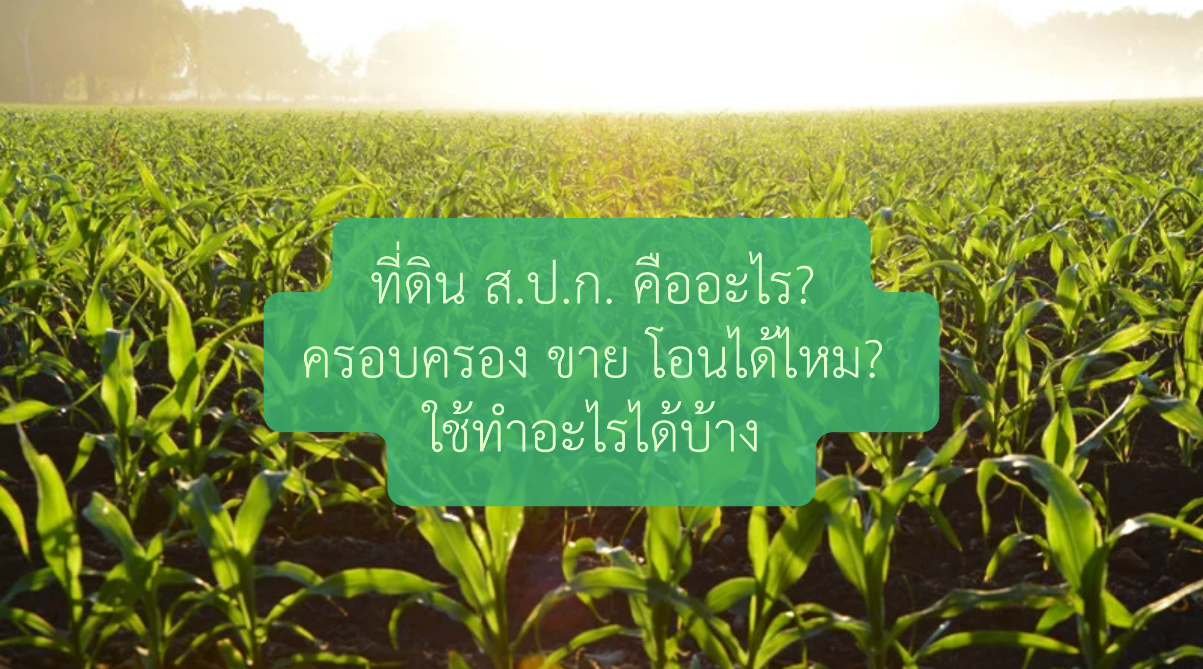 สปกคือ