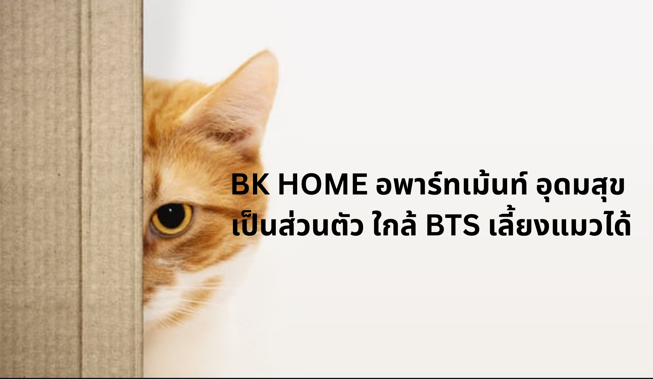 bk home อพาร์ทเม้นท์ อุดมสุข