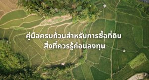 ซื้อที่ดิน