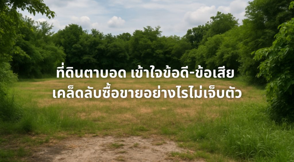 ที่ดินตาบอด
