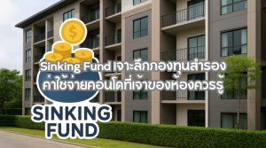 Sinking Fund