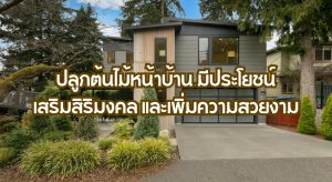 ปลูกต้นไม้หน้าบ้าน