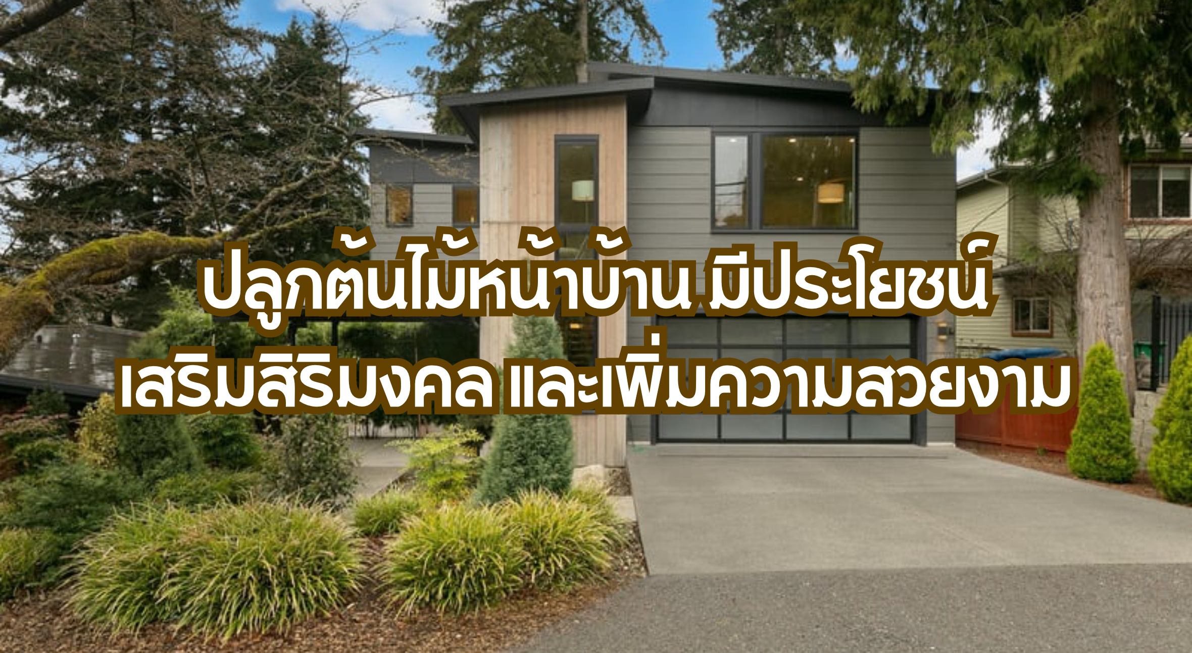 ปลูกต้นไม้หน้าบ้าน