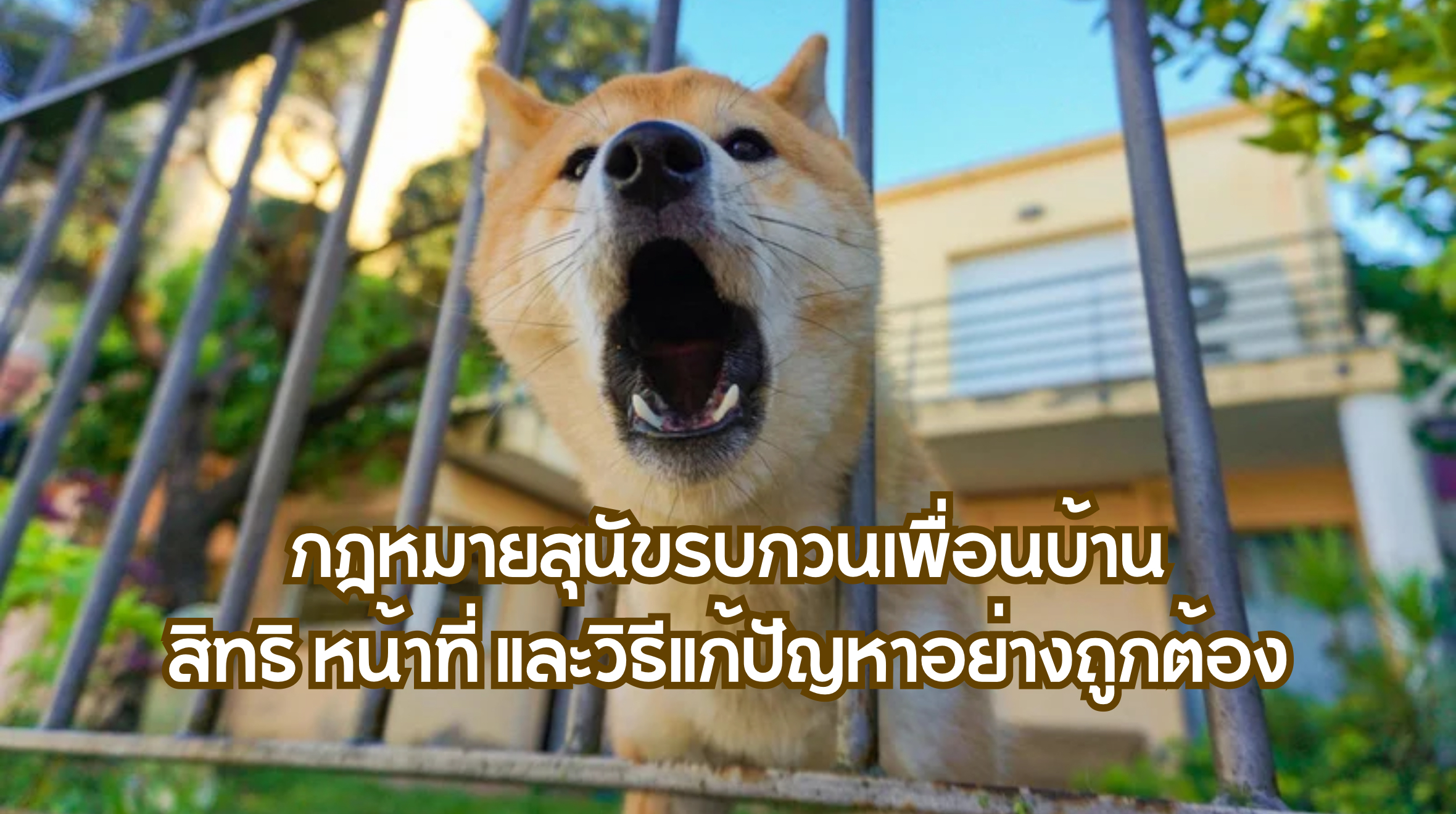 กฎหมายสุนัขรบกวนเพื่อนบ้าน
