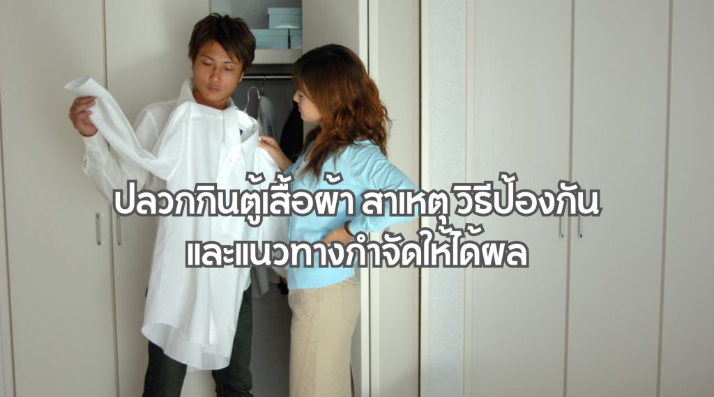 ปลวกกินตู้เสื้อผ้า