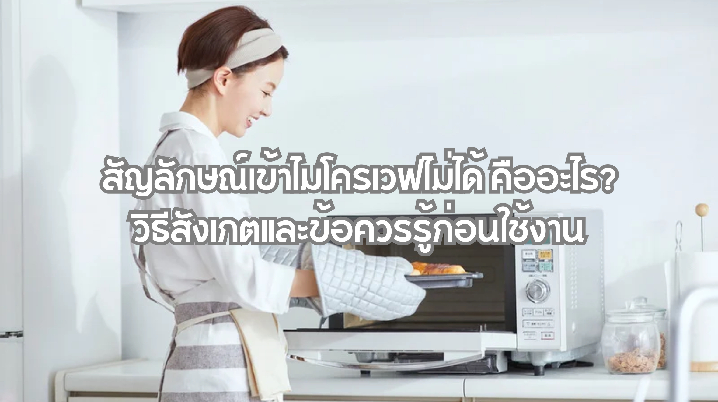 สัญลักษณ์เข้าไมโครเวฟไม่ได้