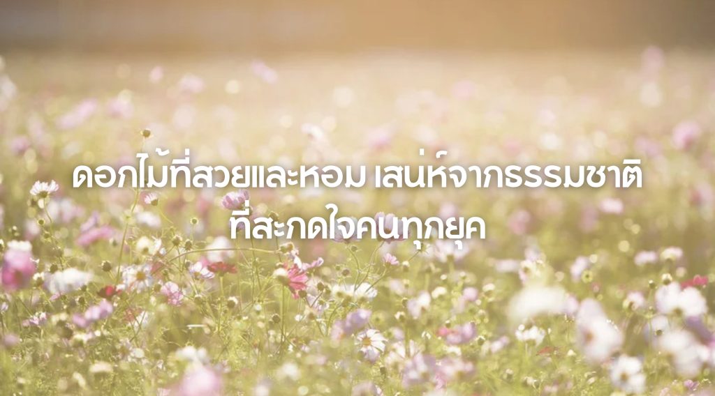 ดอกไม้ที่สวยและหอม