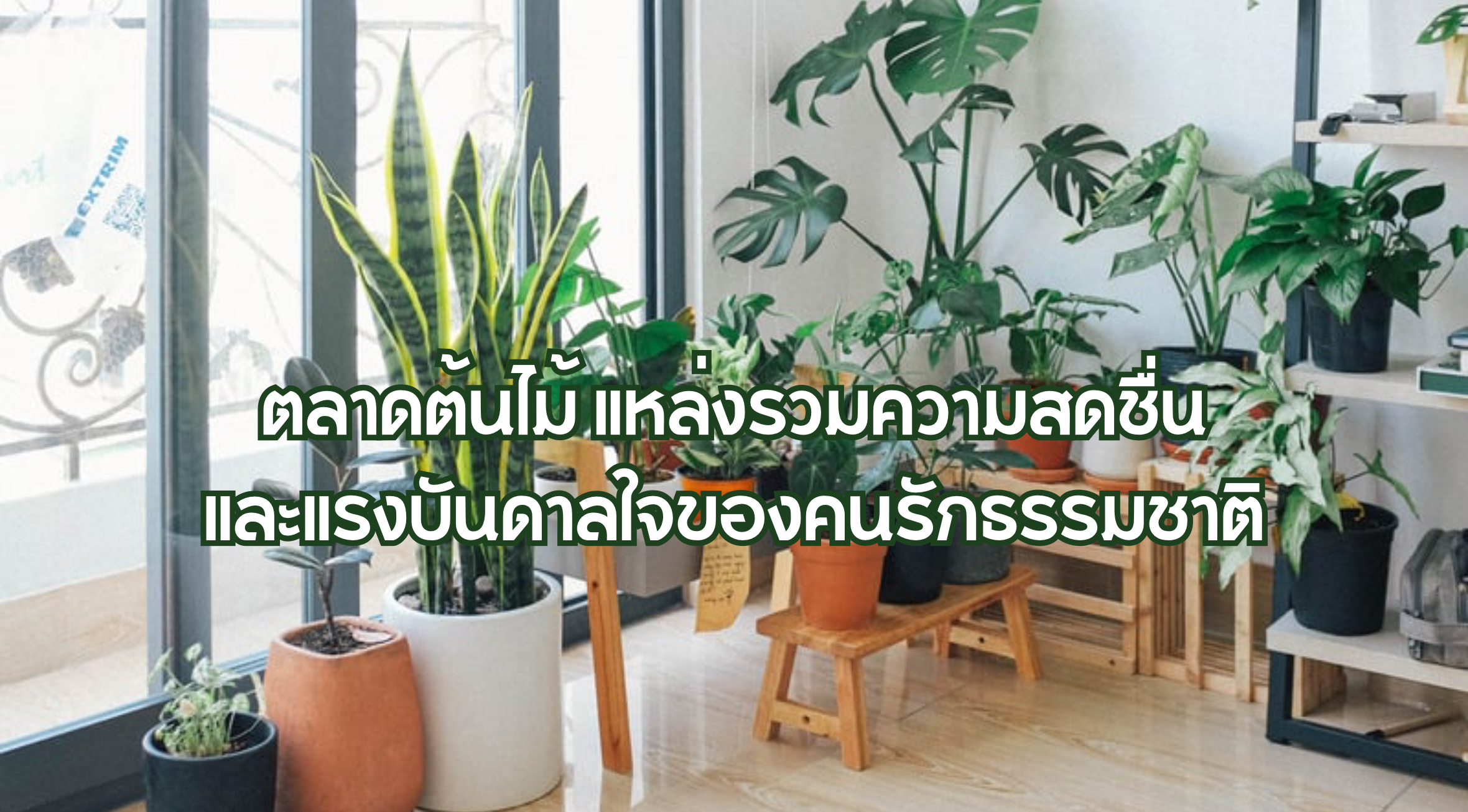 ตลาดต้นไม้