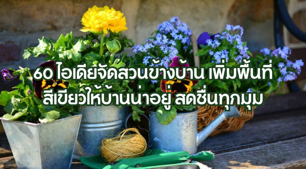 60 ไอเดียจัดสวนข้างบ้าน