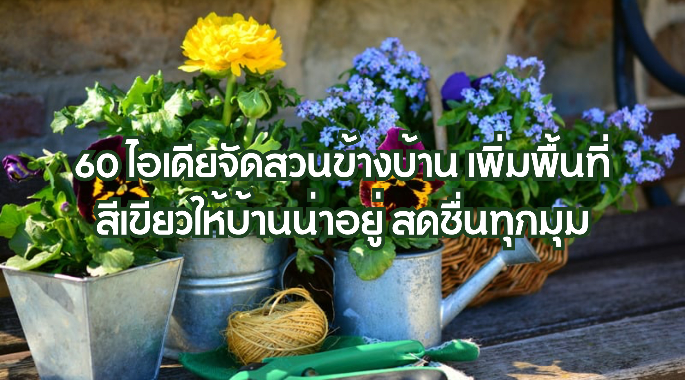 60 ไอเดียจัดสวนข้างบ้าน