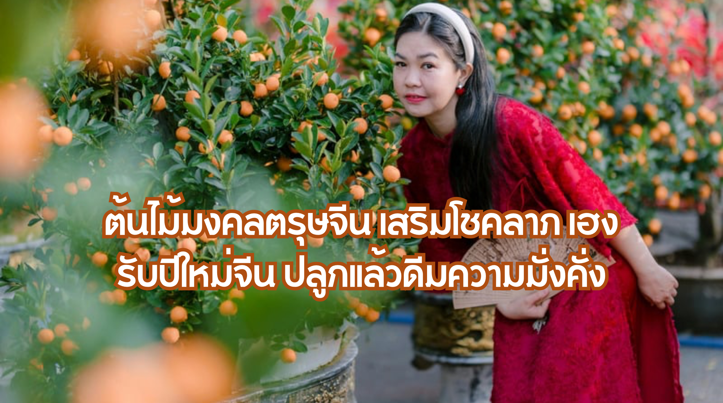 ต้นไม้มงคลตรุษจีน
