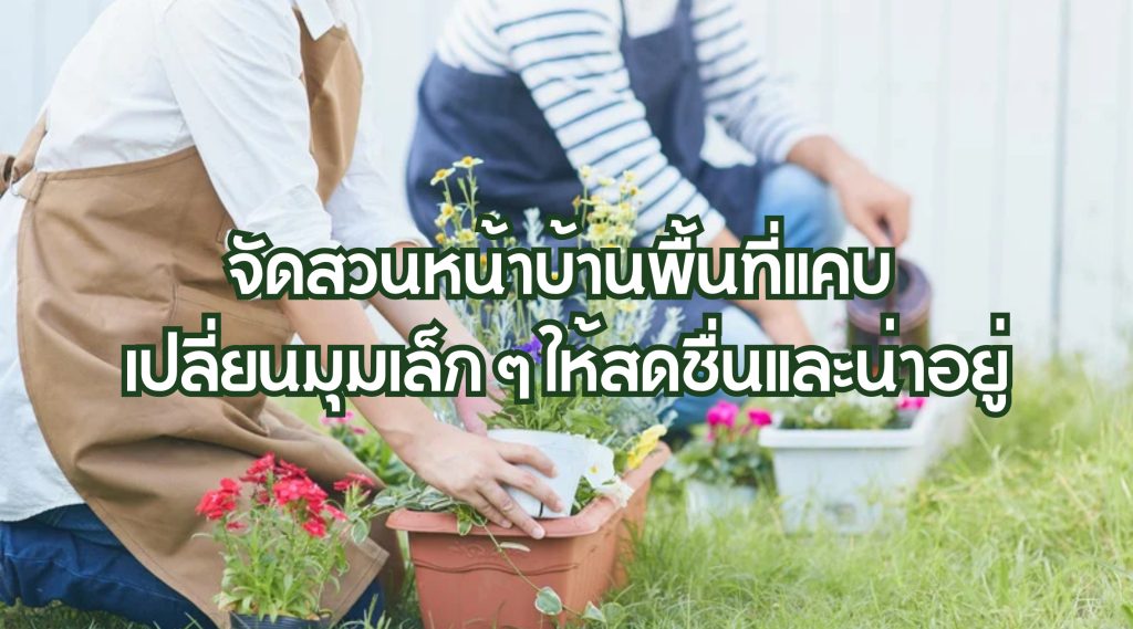 จัดสวนหน้าบ้านพื้นที่แคบ
