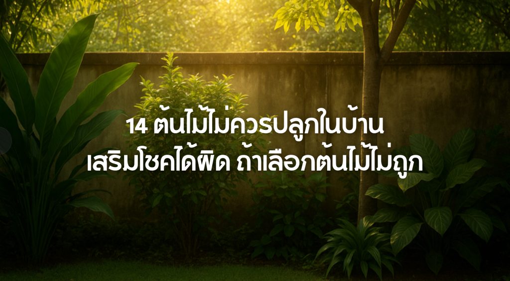 14 ต้นไม้ไม่ควรปลูกในบ้าน
