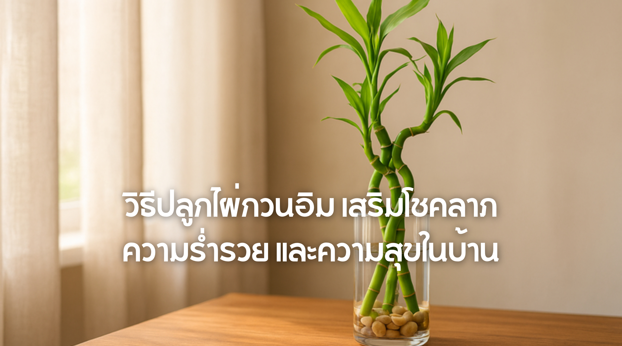 วิธีปลูกไผ่กวนอิม