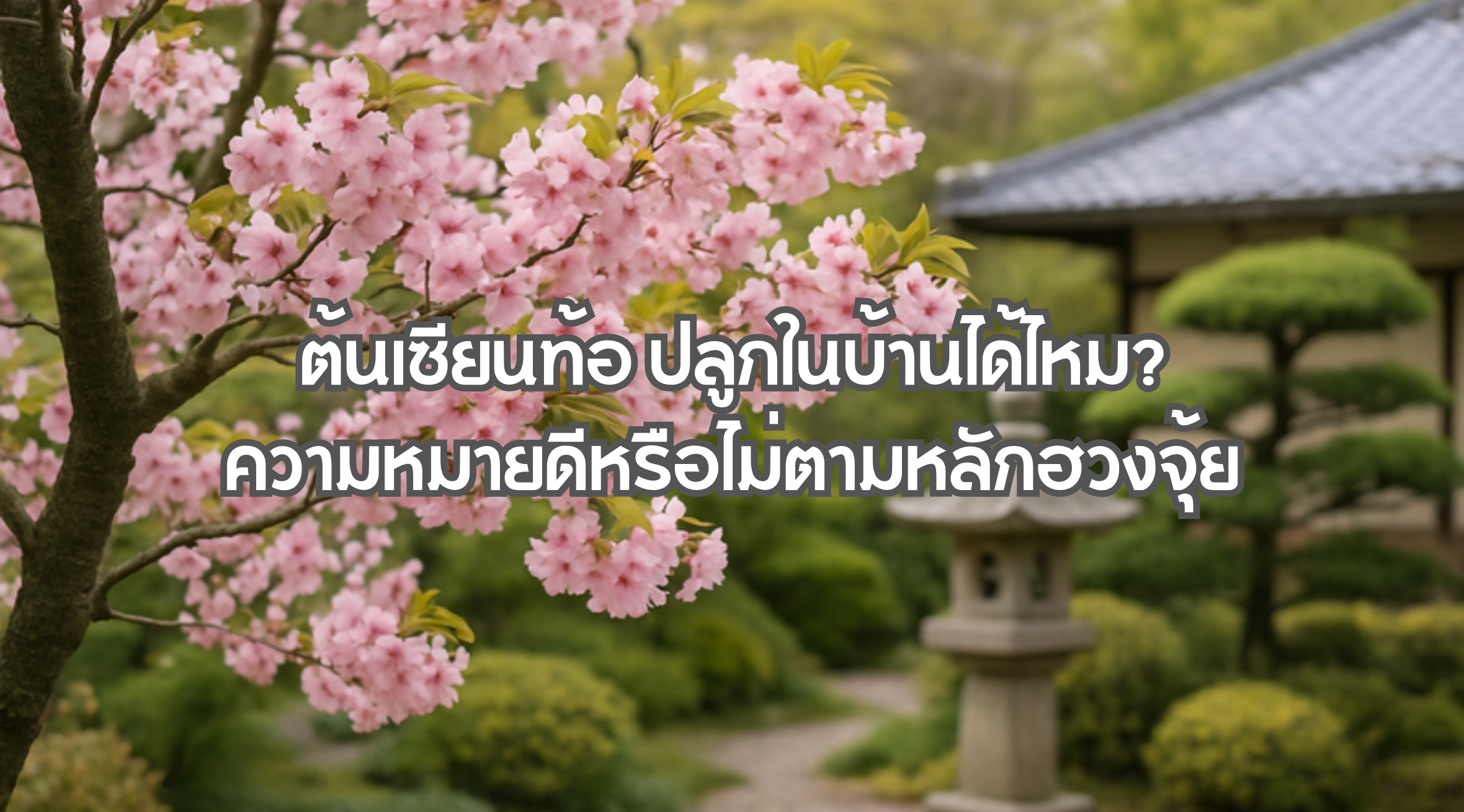 ต้นเซียนท้อ ปลูกในบ้านได้ไหม