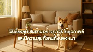 วิธีเลี้ยงสุนัขในบ้าน