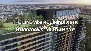 THE LINE Vibe