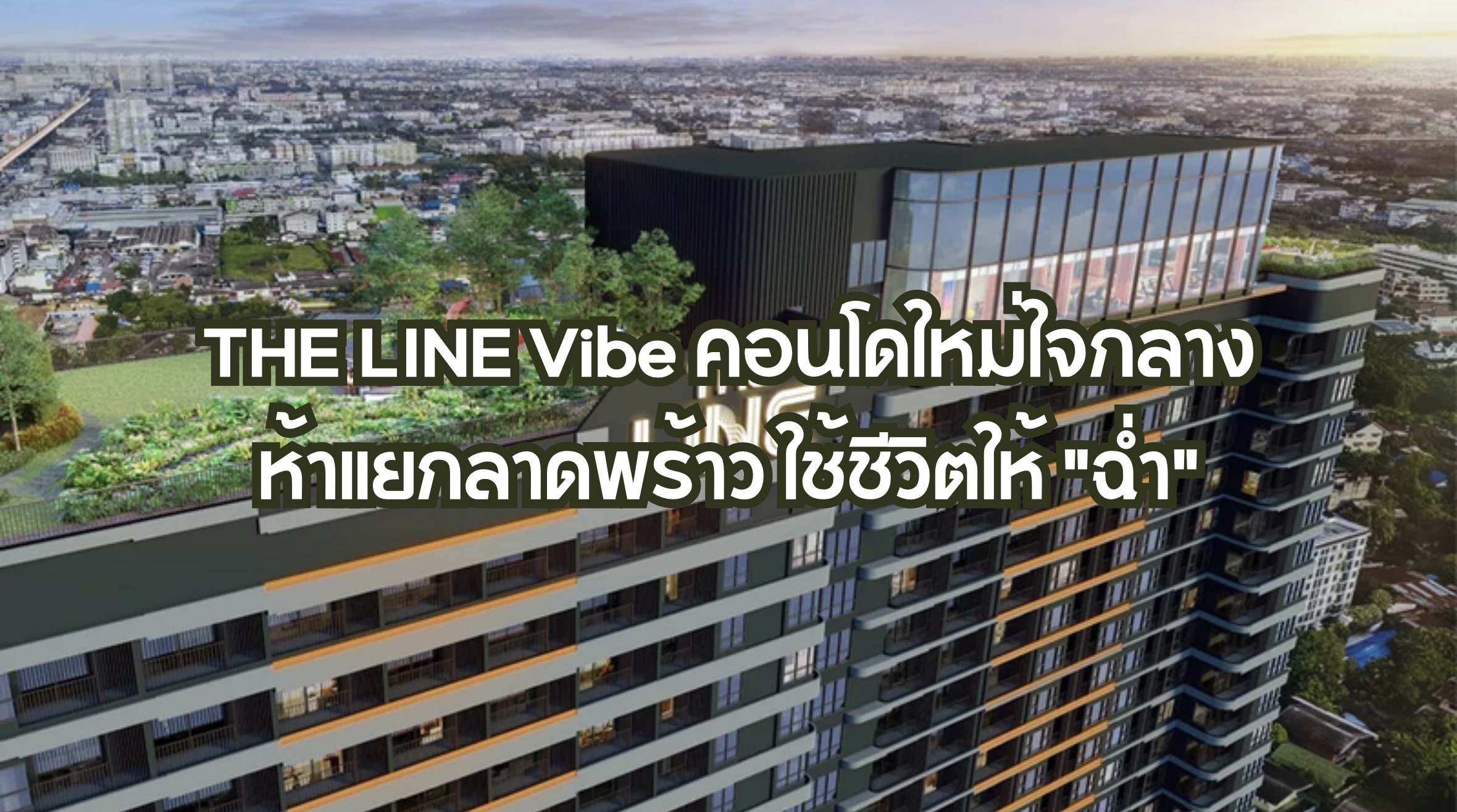 THE LINE Vibe