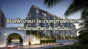 ซีรอคโค บางนา 36